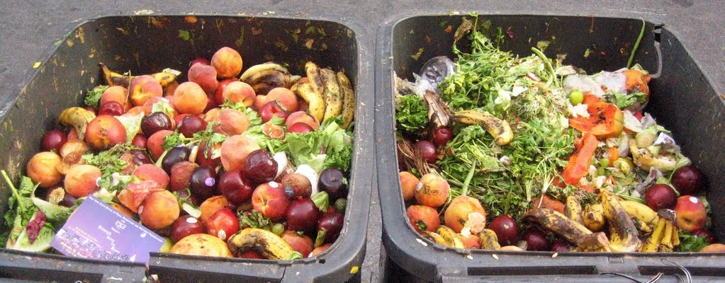 Food wastage, groceries, landfill, environment, food waste, Australia